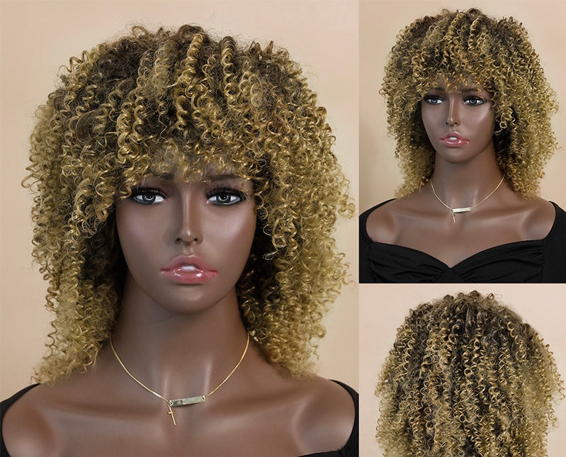 PRISCA【WA-XY1051-1】 12" Afro Trending Vintage Wigs for Women, Synthetic for Daily Use, Party